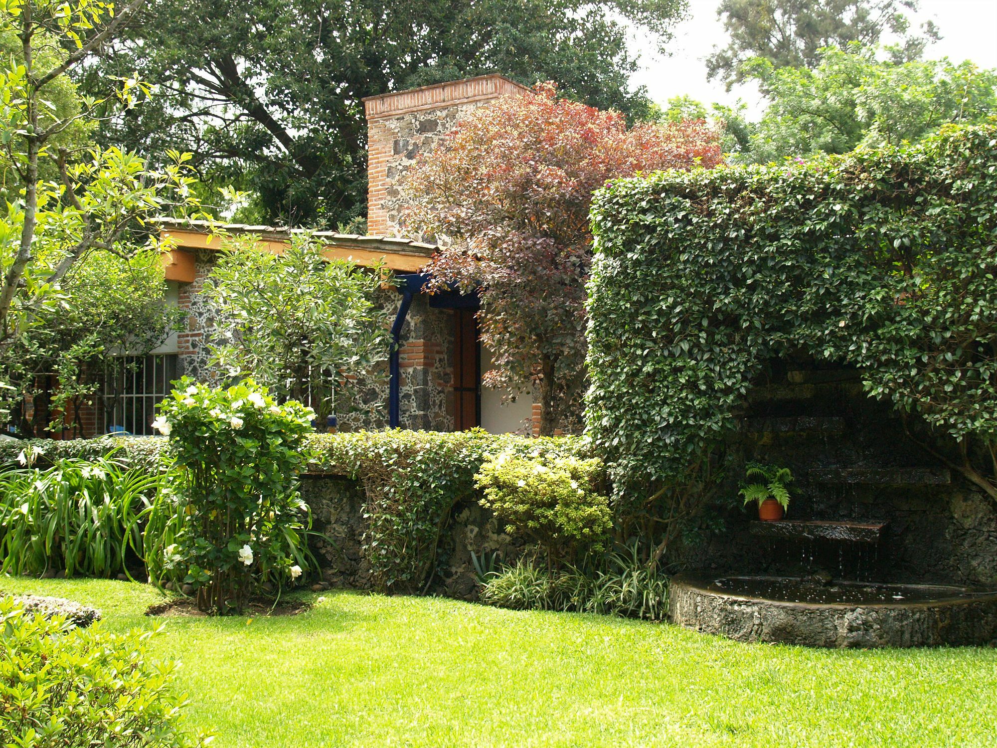 Hotel La Posada Del Valle (Adults Only) Tepoztlán Exteriér fotografie